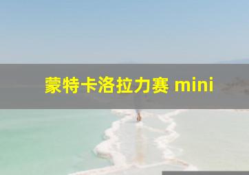 蒙特卡洛拉力赛 mini